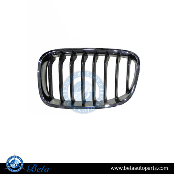 Left Side Grille - Black and Chrome for BMW 1 Series F20/F21 2012-2014 models, Part Number 51137262117 Left Side Grille - Black and Chrome for BMW 1 Series F20/F21 2012-2014 models, Part Number 51137262117